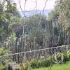 Jardín Botánico Martín Cárdenas (20)