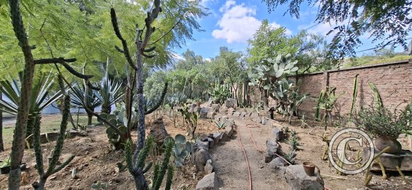Jardín Botánico Martín Cárdenas (21)