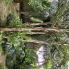 Jardín Botánico Martín Cárdenas (23)