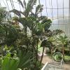 Jardín Botánico Martín Cárdenas (25)