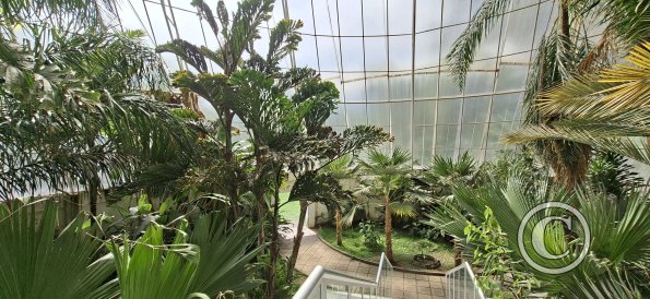 Jardín Botánico Martín Cárdenas (25)