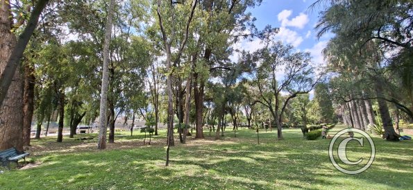 Jardín Botánico Martín Cárdenas (3)