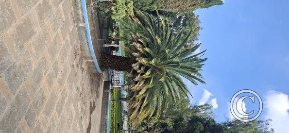 Jardín Botánico Martín Cárdenas (36)