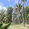 Jardín Botánico Martín Cárdenas (4)