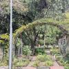 Jardín Botánico Martín Cárdenas (40)