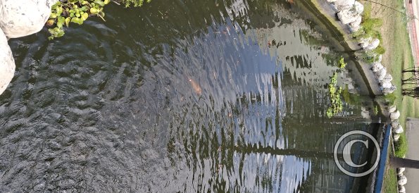 Jardín Botánico Martín Cárdenas (41)