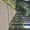 Jardín Botánico Martín Cárdenas (49)