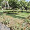 Jardín Botánico Martín Cárdenas (5)