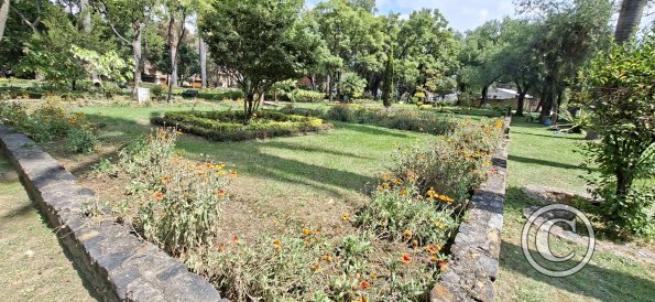 Jardín Botánico Martín Cárdenas (5)
