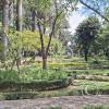 Jardín Botánico Martín Cárdenas (50)