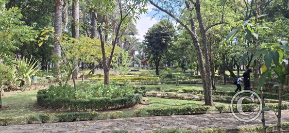 Jardín Botánico Martín Cárdenas (50)