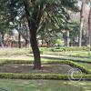 Jardín Botánico Martín Cárdenas (53)