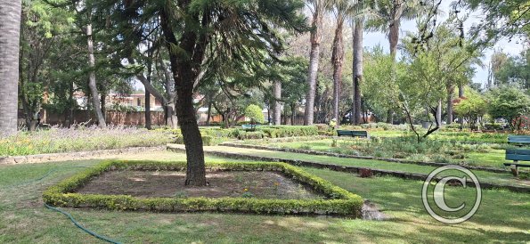 Jardín Botánico Martín Cárdenas (53)