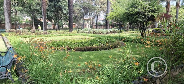 Jardín Botánico Martín Cárdenas (55)