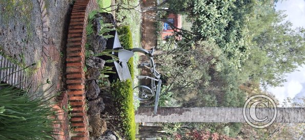Jardín Botánico Martín Cárdenas (57)