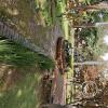 Jardín Botánico Martín Cárdenas (58)