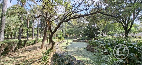 Jardín Botánico Martín Cárdenas (6)