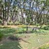 Jardín Botánico Martín Cárdenas (7)