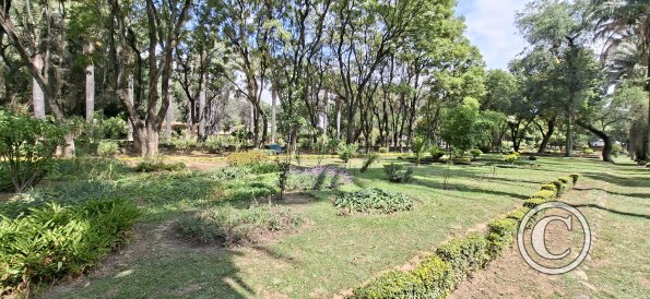 Jardín Botánico Martín Cárdenas (7)
