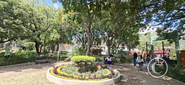Jardín Botánico Martín Cárdenas