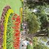 Paseo El Prado in Av Jose Ballivian (10)