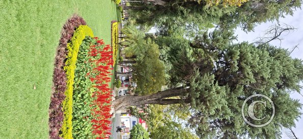 Paseo El Prado in Av Jose Ballivian (10)