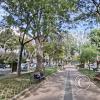 Paseo El Prado in Av Jose Ballivian (13)