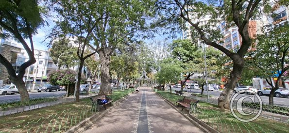 Paseo El Prado in Av Jose Ballivian (13)