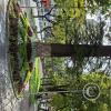 Paseo El Prado in Av Jose Ballivian (15)