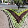 Paseo El Prado in Av Jose Ballivian (4)