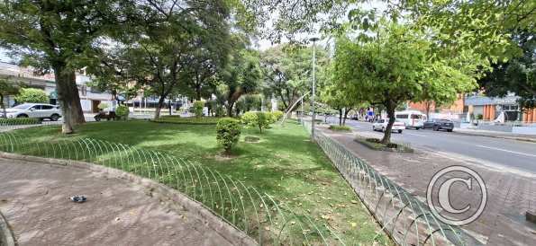 Paseo El Prado in Av Jose Ballivian (6)