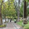 Paseo El Prado in Av Jose Ballivian