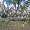 Plaza Barba de Padilla at Calle Espana and Calle Jose de la Reza (4)