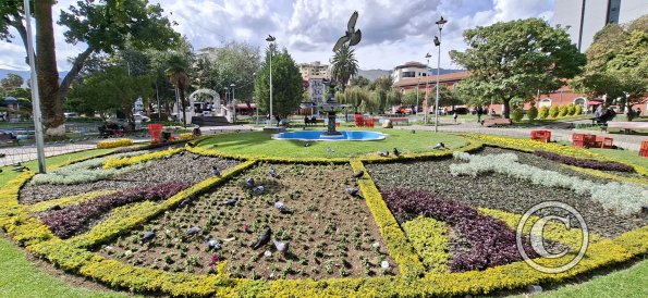 Plaza Colón (3)