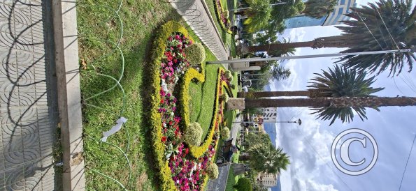 Plaza Colón (5)
