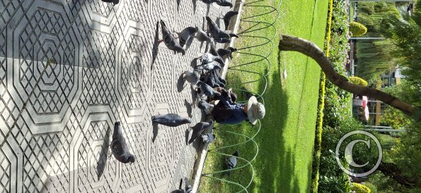Plaza Colón (6)