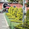 Plaza Colón (8)