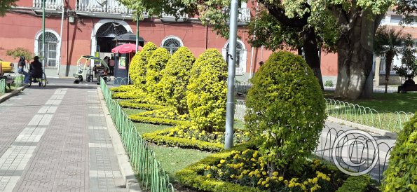 Plaza Colón (8)