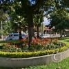 Plaza Esteban at Calle Plaza Estaban Arze and Av Aroma (2)