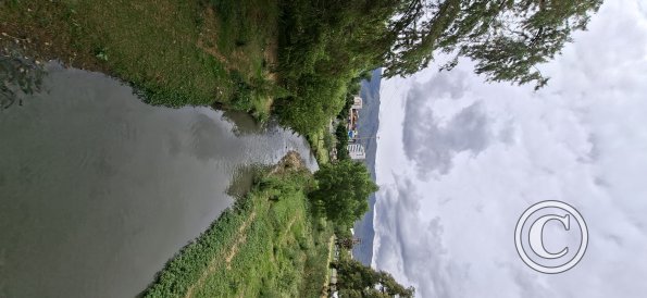 Rio Rocha (2)