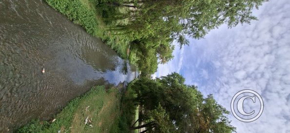 Rio Rocha (3)
