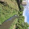 Rio Rocha (4)