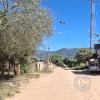 Street scene (27)