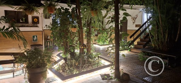 Inside Residencial - hotel - Pinocho (2)