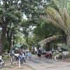 The Main Plaza (2)