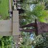 The Main Plaza (4)
