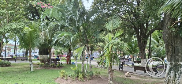 The Main Plaza (5)