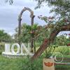 Parque Ecoturistico on Av Perimetral Sur (4)