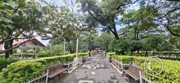 Parque Principal (4)