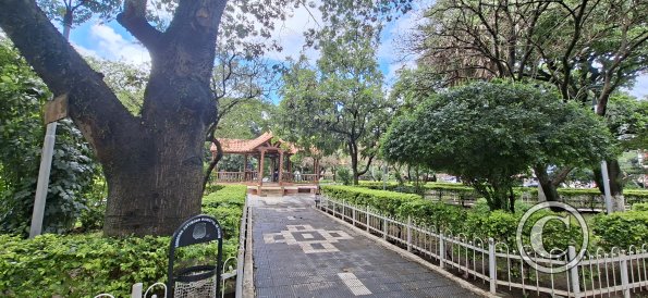 Parque Principal (5)